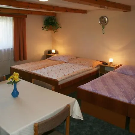 Apartment Nemilkov *